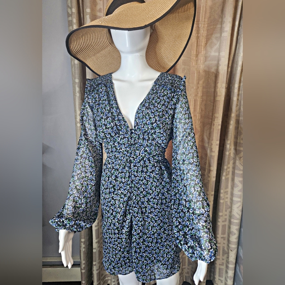 Zara Lined Sheer Sleeve Long Sleeve Button Front Floral Sun Dress